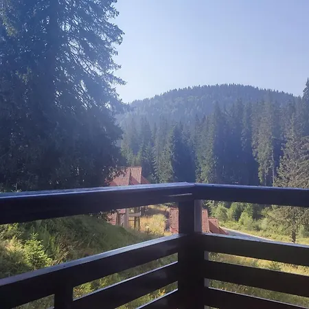 Kris 513 Free Pool & * 潘波洛沃