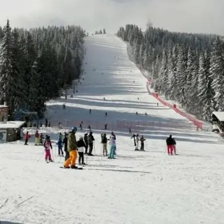 Kris 513 Free Pool & 潘波洛沃