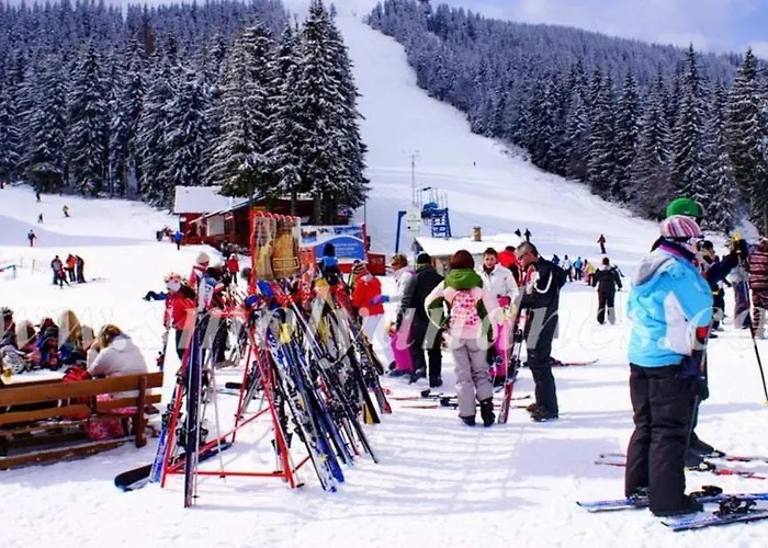 Kris 513 Free Pool & *